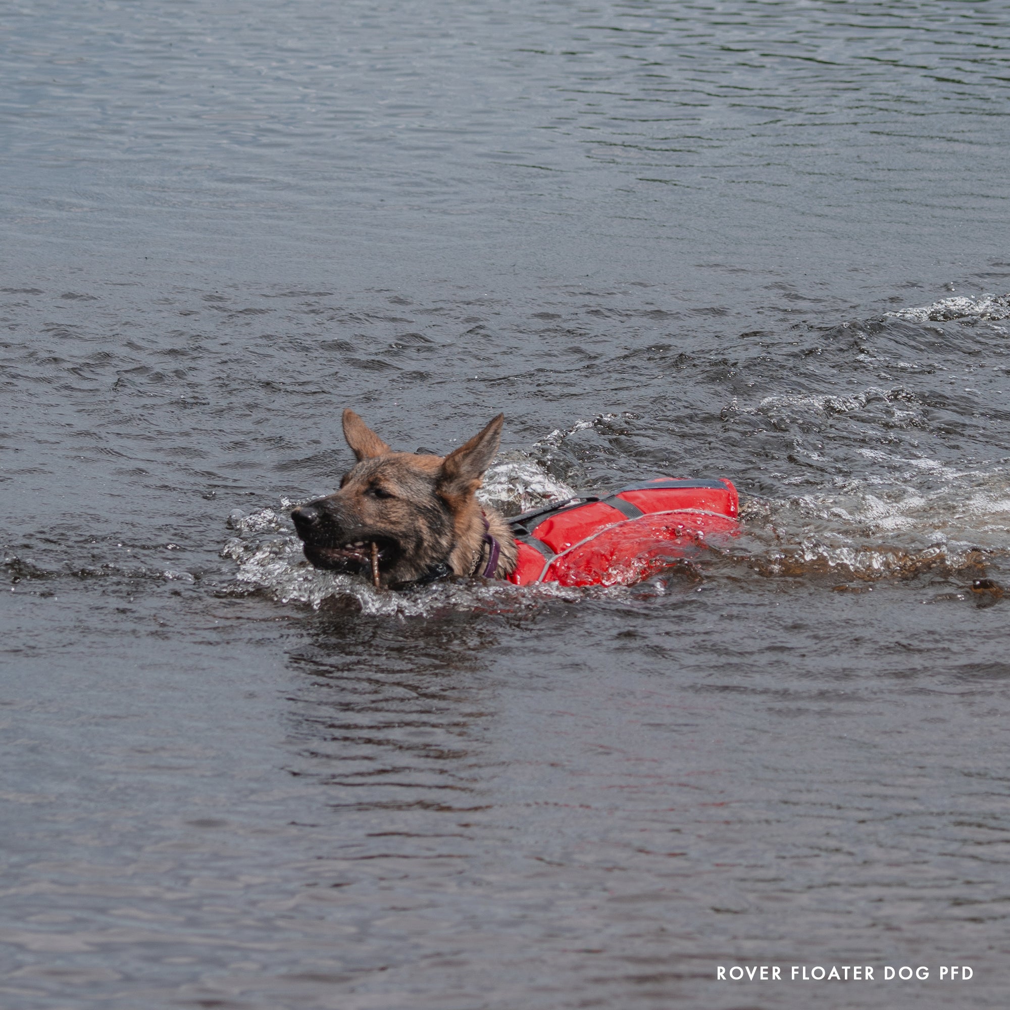 level-6-rover-gilet-sauvetage-chien-jaune-taille-m image 5