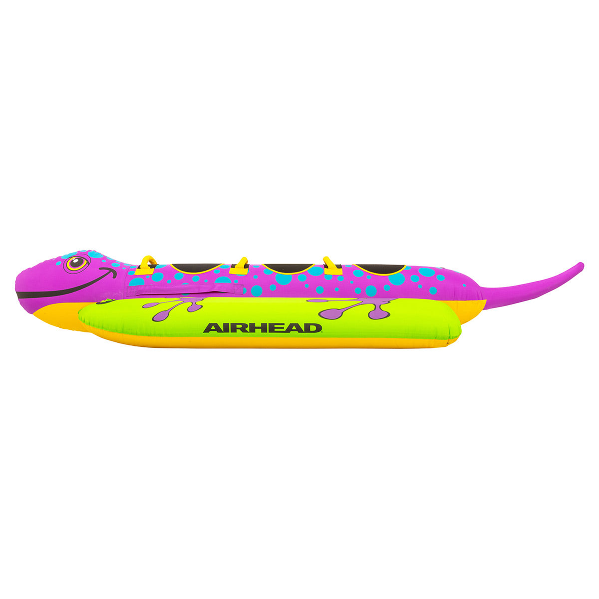 airhead-salamander-bou-e-tractable-1-2-places-animal image 6