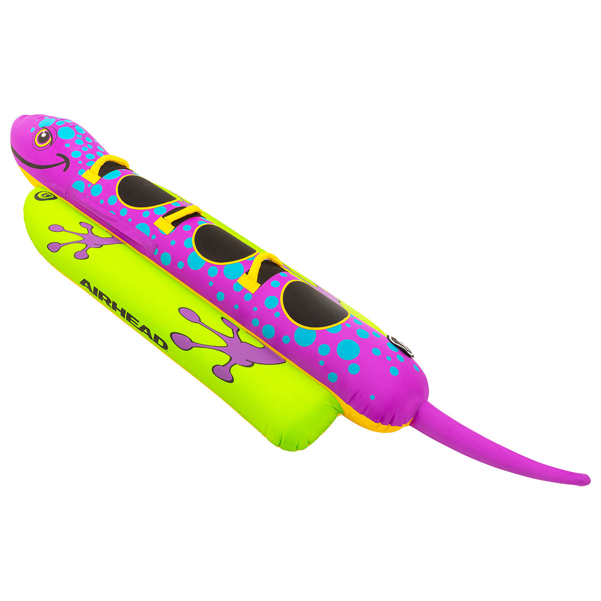 airhead-salamander-bou-e-tractable-1-2-places-animal image 5